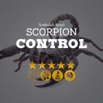 Scorpion Control in Scottsdale 85256