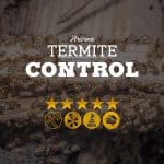 Termite Control in Arizona