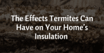 The Effects Termites on Homes Insulation