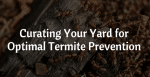 Curating Your Yard for Optimal Termite Prevention