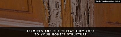 Door Damaged By Termites