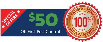 $50 Off First Pest Control Service