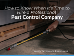 How to Know When It’s Time to Hire a Professional Pest Control Company