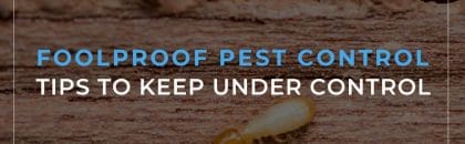 Foolproof Pest Control Tips to Keep Under Control