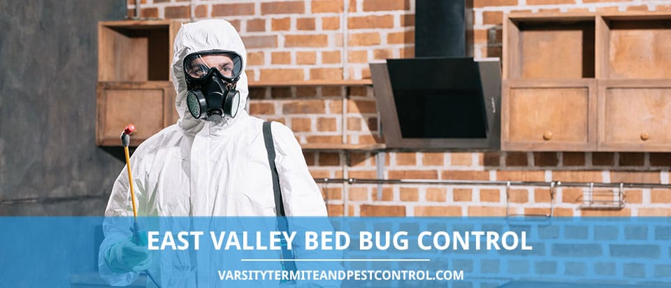 East Valley Bed Bug Control Company in Arizona