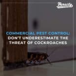 Commercial Pest Control: Don’t Underestimate The Threat Of Cockroaches