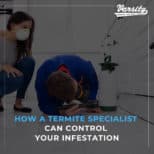 how-a-termite-specialist-can-control-your-infestation