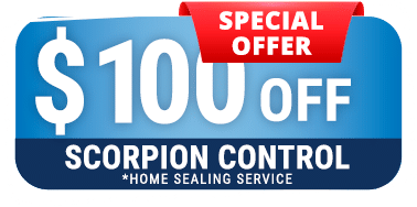 Special Offer 100 Dollars Off Scorpion Control