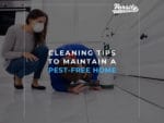 Cleaning Tips to Maintain a Pest-Free Home