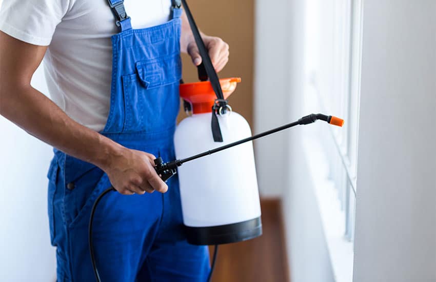 Experts In Mosquito Prevention Services In Coolidge