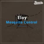 Eloy Mosquito Control featured image