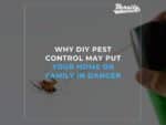 Why DIY Pest Control May Put Your Home Or Family In Danger