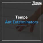 Tempe Ant Exterminators featured image