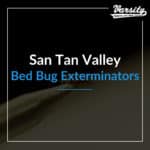 San Tan Valley Bed Bug Exterminators featured image