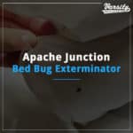 Apache Junction Bed Bug Exterminator featured image