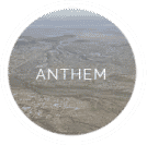 Anthem Termite Control