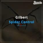 Gilbert Spider Control Company