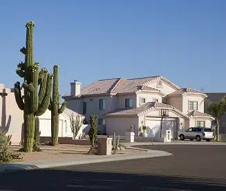 Pest Control In Ocotillo District, Glendale