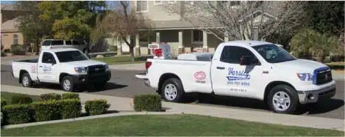 Qualified Bee Removal Experts In Glendale
